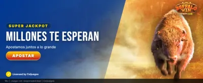 Las mejores apuestas online